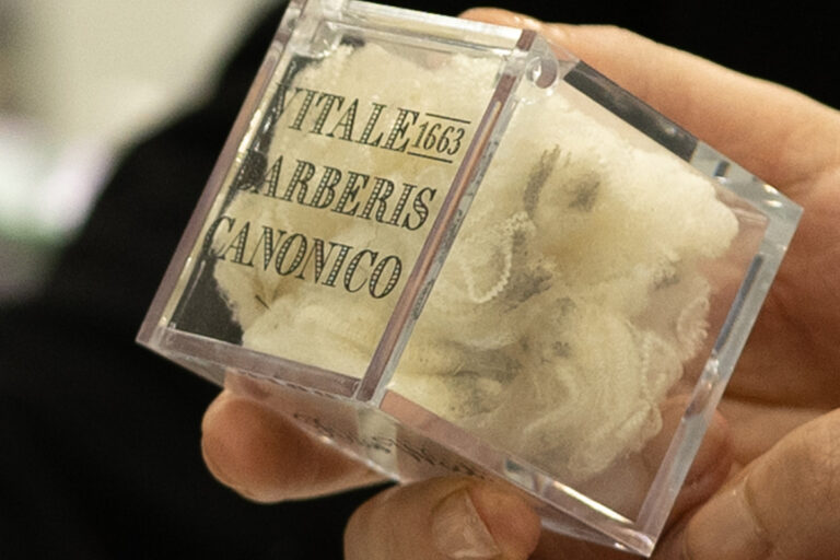 Vitale_copertina news_2